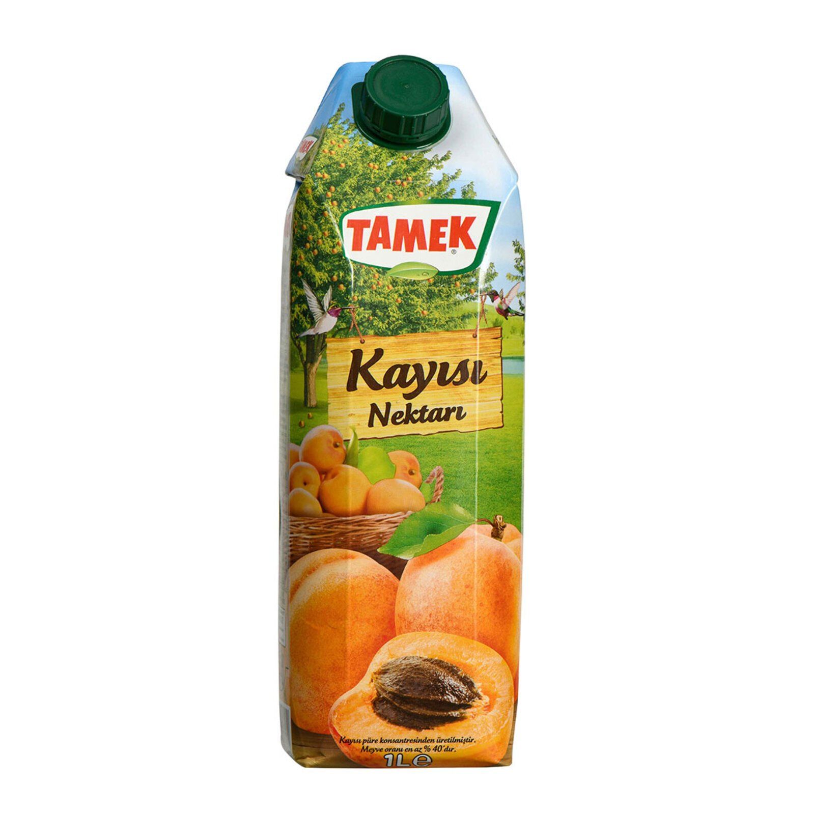 TAMEK KAYISI NEKTARI 1L*12*
