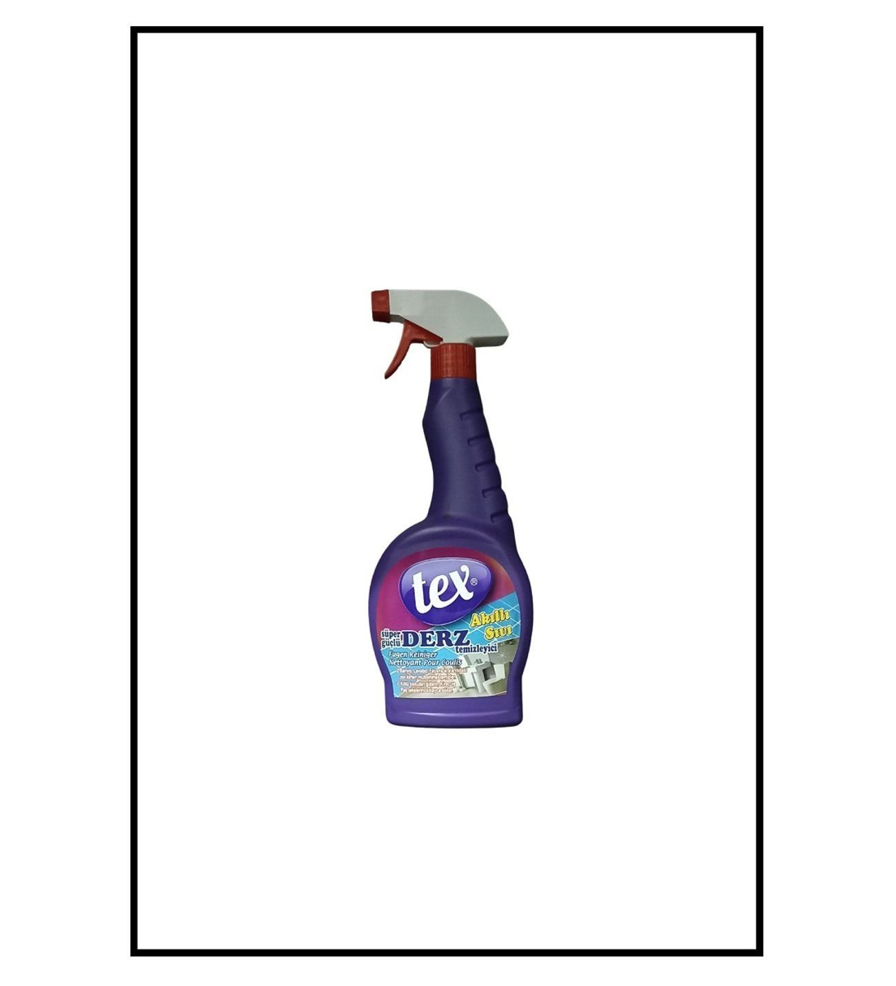 TEX DERZ TEMİZLEYİCİ 750ML*12*